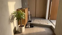 玄関の空気を整えたいときに：風水で“豊かさ”の象徴パキラ（マネーツリー）の置き方と育て方