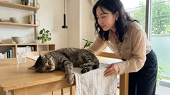猫がテーブルの上で眠るのはなぜ？5つのサインでわかる「安心」と本能