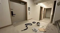 夜22時半、防犯カメラが捉えた一瞬の暴力——パレルモの犬虐待疑いと「通報から保護まで」の流れ